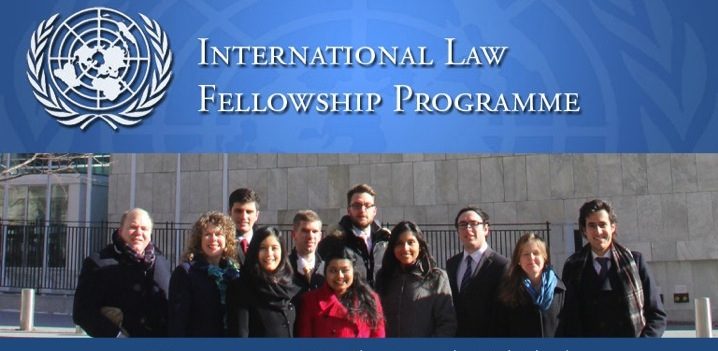 2025 United Nations International Law Fellowship