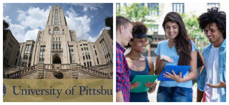 University of Pittsburgh Heinz Fellowship