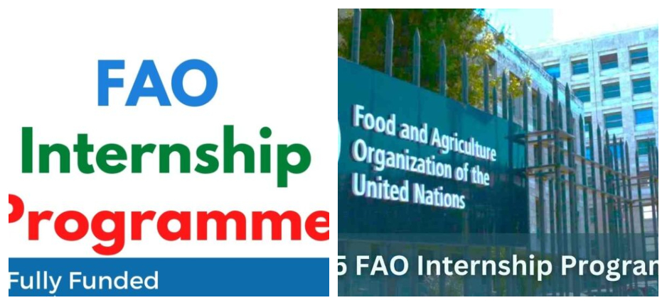 2025 Food and Agriculture Organization