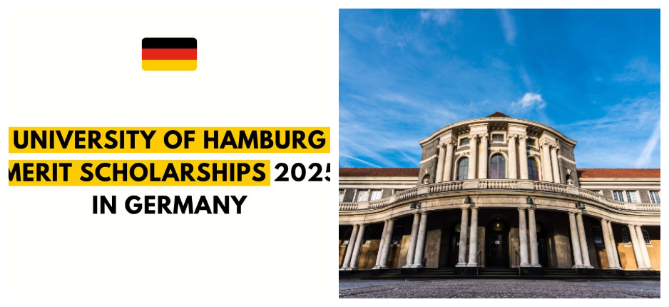 University of Hamburg Merit Scholarship