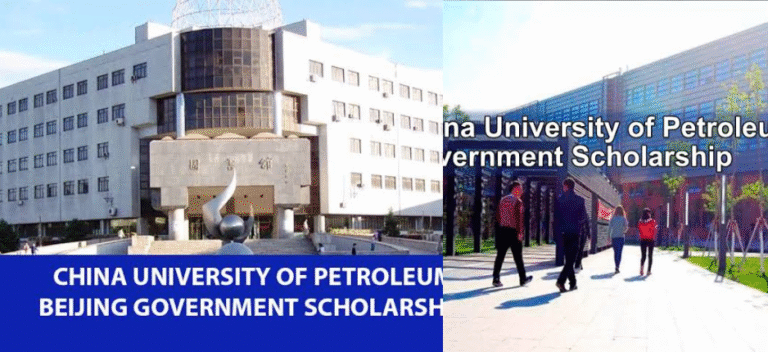 Beijing Government Scholarship,  China University of Petroleum