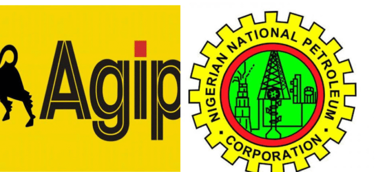 NNPC Renaissance University Scholarship 2025: How to Apply