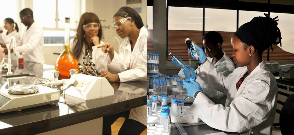 Erasmus Mundus EACH Scholarship 2026 | Fully Funded Master’s in Europe