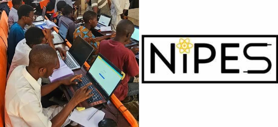 Nigerian undergraduate engineering and science students studying together on campus, representing the NIPES Engineering and Science Scholarship programme.